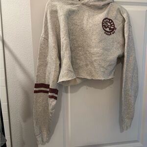 Free People Heather Gray Cropped Hoodie with Burgundy Stripes